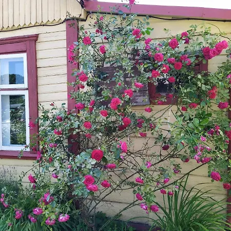 Romantic Seaside House