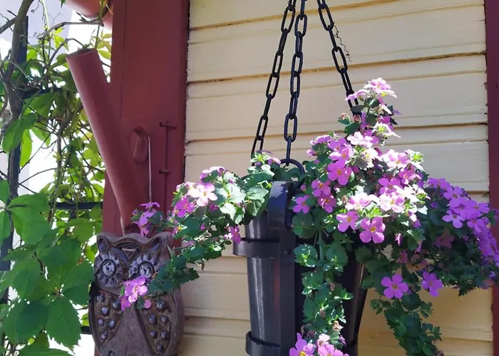 Romantic Seaside House